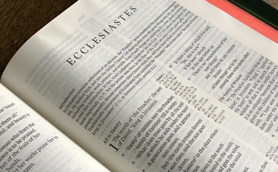 Reminders from Ecclesiastes in a Coronavirus&nbsp;Age