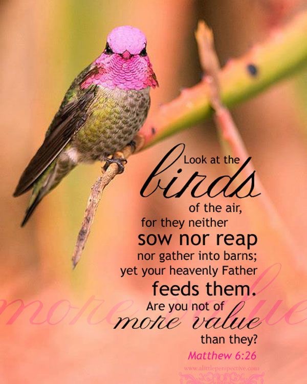 A Biblical Antidote to&nbsp;Worry